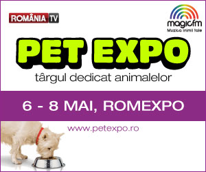banner_petexpo_NO-PARTNERS_300x250
